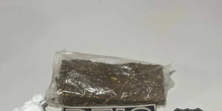 Em Paraíso, Polícia Civil prende grávida de 22 anos por tráfico de drogas