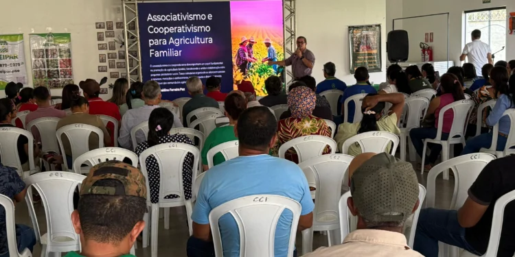 Governo fortalece associativismo e cooperativismo com capacitação de agricultores em Paraíso do Tocantins