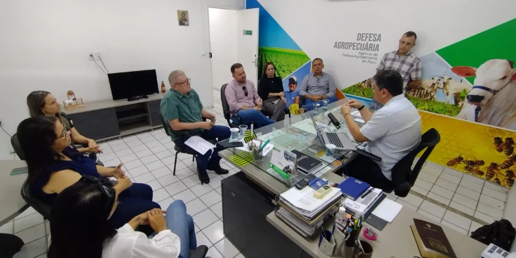 A convite do Ministério da Agricultura, a Adapec participa de visita técnica sobre o processo de retirada da vacinação antiaftosa no Piauí. FOTO: Paulo Melo/Adapi