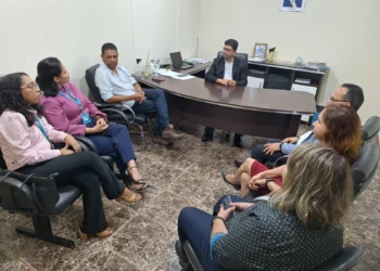 eunião com equipe do Ruraltins e Energisa para assinatura do acordo de cooperação