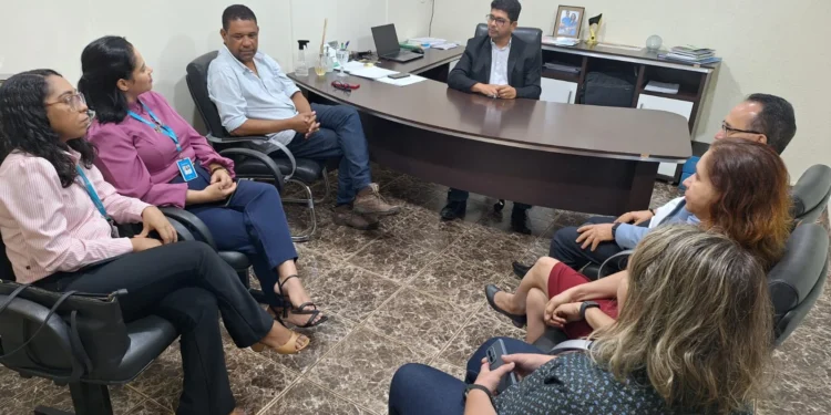 Parceria entre Governo do Tocantins e Governo Federal leva energia elétrica para zona rural através do programa Luz para Todos