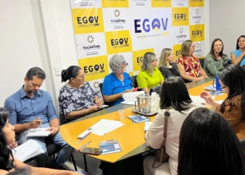 Reuniões com representantes de órgãos e entidades do Poder Executivo Estadual para definir procedimentos metodológicos na elaboração do Plano Anual de Capacitação de 2025.