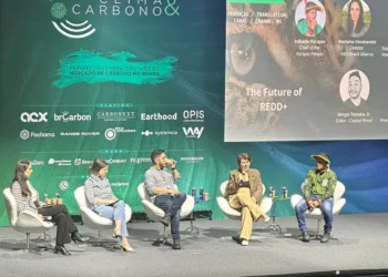 Superintendente Marli Santos aponta cinco grandes desafios do REDD+ Jurisdicional no Painel O Futuro do REDD+ na Conferência Brasileira Clima e Carbono, em São Paulo - Foto: Divulgação