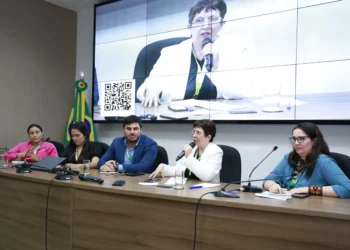 Superintendente Marli Santos destacou que foi apresentado o trabalho do Estado e os desafios enfrentados na mensuração da degradação por fogo no Cerrado_Foto Kaggia Hellen/CONAREDD+