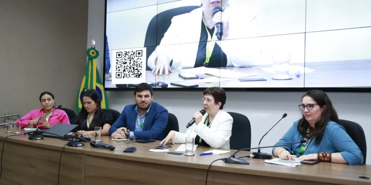 Superintendente Marli Santos destacou que foi apresentado o trabalho do Estado e os desafios enfrentados na mensuração da degradação por fogo no Cerrado_Foto Kaggia Hellen/CONAREDD+