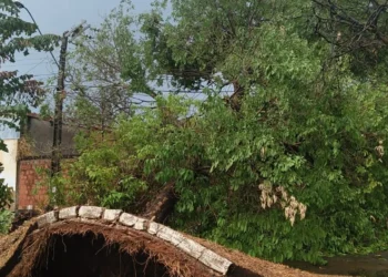 Energisa se manifesta sobre ocorrências em Miracema