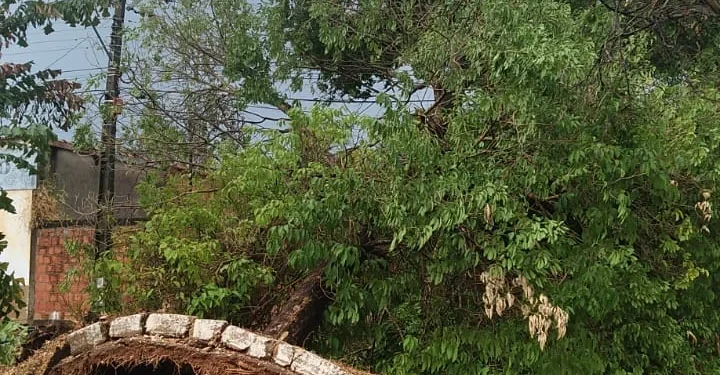 Energisa se manifesta sobre ocorrências em Miracema
