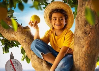 "Chico Bento e a Goiabeira Maraviosa" chegará aos cinemas em janeiro de 2025 • Reprodução/Turma da Mônica/Instagram