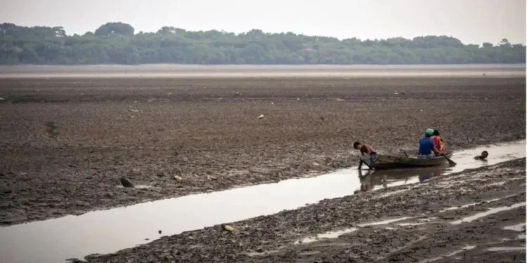 Pescadores em um córrego formado a partir do lago Aleixo, na área rural de Manaus — Foto: Getty via BBC
