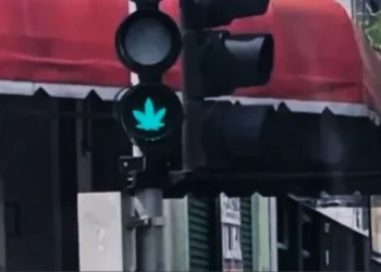 Semáforo com formato de maconha chama atenção no PR • Reprodução