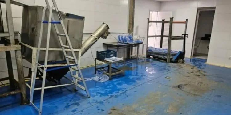 Mofo, ferrugem e água de origem duvidosa: fábrica de gelo é lacrada no RS