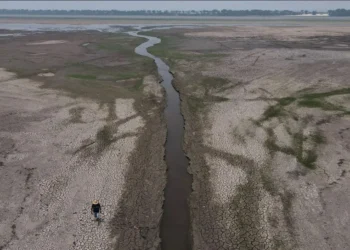 Seca impacta no Rio Negro, no Amazonas. • REUTERS/Bruno Kelly