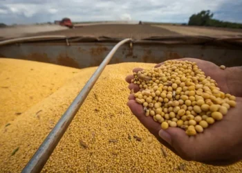 Mato Grosso aprova lei contra Moratória da Soja