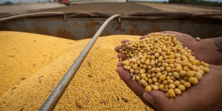 Mato Grosso aprova lei contra Moratória da Soja