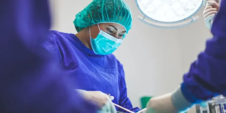 Transmissão de HIV por transplante de órgãos é raro, segundo infectologista • Foto: Artur Tumasjan/Unsplash