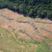 Ministério da Agricultura quer mudar regra que restringe crédito rural por desmatamento