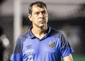 Fábio Carille, técnico do Santos • Foto: Raul Baretta/ Santos FC