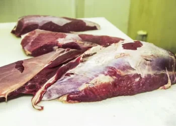 Exportações brasileiras de carne bovina bateram recorde em setembro