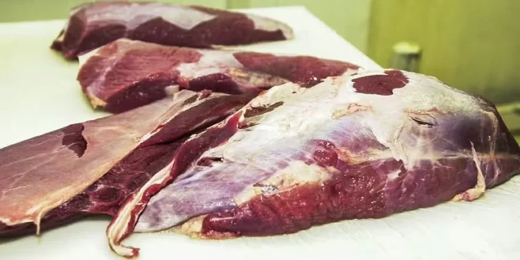 Volume exportado de carne bovina aumentou 30% em setembro — Foto: Marcello Casal Jr/Agência Brasil