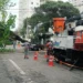 Enel, prefeitura e governo federal divergem sobre alçada para podar árvores em São Paulo