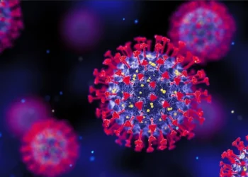 Nova linhagem do vírus da Covid-19 foi identificado em três estados brasileiros • BlackJack3D/GettyImages