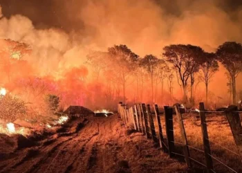 Queimadas em Mato Grosso do Sul (MS) • Divulgação/Corpo de Bombeiros do Mato Grosso do Sul