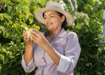 Crédito: Divulgação/Sebrae