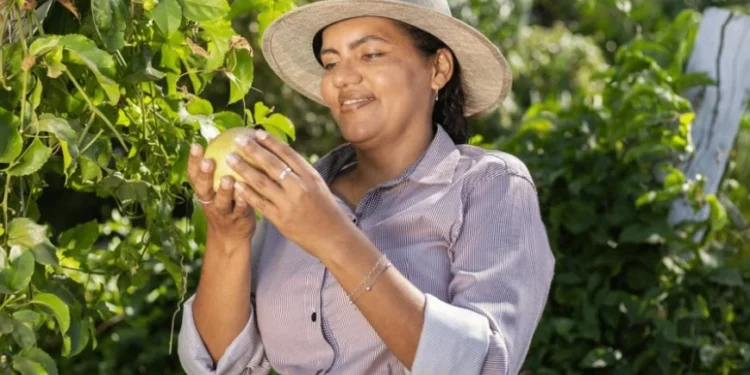Crédito: Divulgação/Sebrae