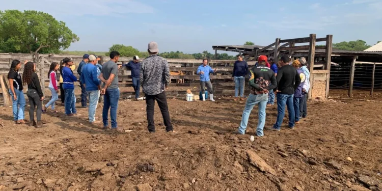 Adapec conclui mais um curso de auxiliar de vacinadores contra a brucelose em Lizarda