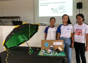 Estudantes produziram maquetes sustentáveis com materiais reutilizáveis - Foto: Divulgação Seduc/Governo do Tocantins file_download