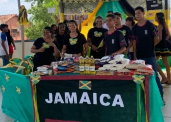 Estudantes arrecadaram cerca de 1 tonelada de alimentos - Foto: Seduc/ Governo do Tocantins file_download