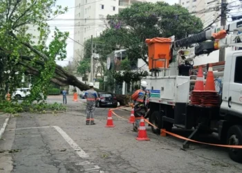 Árvore caída em cima de um veículo, em um rua do Jardim Marajoara, na zona sul de São Paulo • Marco Ambrosio/Ato Press/Estadão Conteúdo