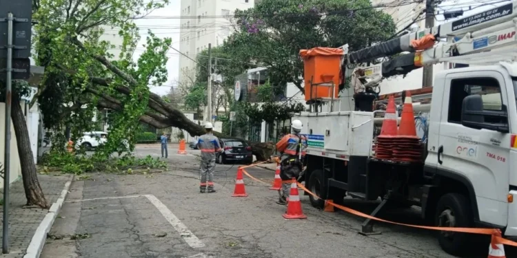 Enel e Prefeitura travam batalha de números sobre podas em SP