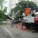 Enel e Prefeitura travam batalha de números sobre podas em SP