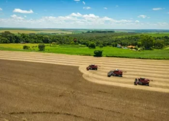 Dia da Agricultura: Como a atividade transformou o Brasil em importante exportador mundial