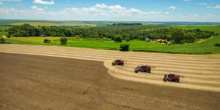 Dia da Agricultura: Como a atividade transformou o Brasil em importante exportador mundial