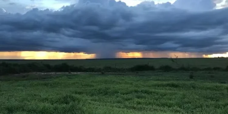 Após temporal, Brasil Central deve voltar a receber chuva nesta quinta
