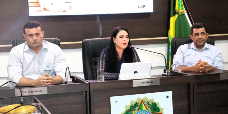 MPTO promove audiência pública em Tocantínia com tema, Serviço de Acolhimento em Família Acolhedora