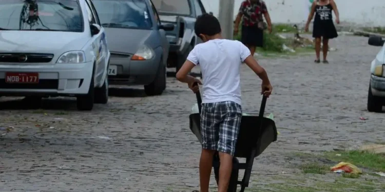 Trabalho infantil cai 14,6% no Brasil, mas ainda afeta 1,6 milhão, diz IBGE