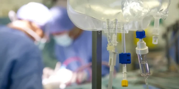 Tratamento do HIV é indicado para transplantados? Especialista responde