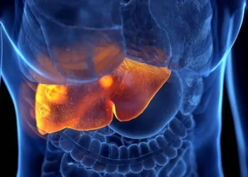 Foto: Sebastian Kaulitzki/Science Photo Library/Getty Images