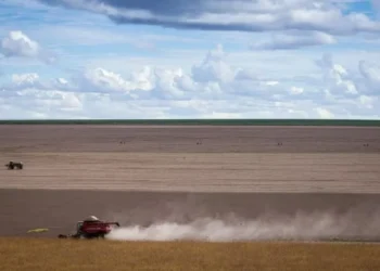 Produtores e empresas do agro renegociam R$ 90 bi em dívidas