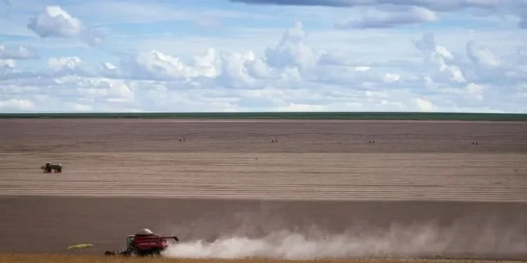 Empresas de diferentes segmentos do agro têm ampliado a busca por assessoria financeira, diz Douglas Bassi, da consultoria Virtus — Foto: Wenderson Araujo/CNA