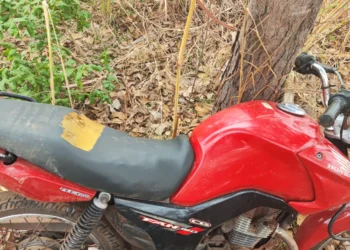Motocicleta estava escondida em um matagal