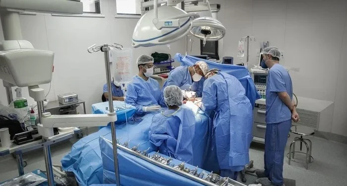 Sistema de transplante de órgãos é seguro? Especialistas respondem