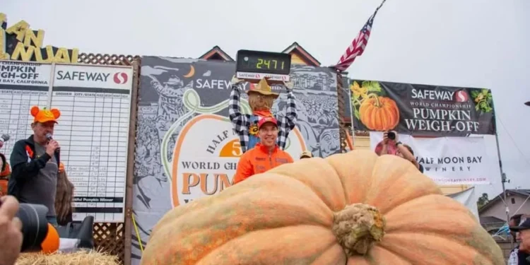 Professor cultiva abóbora com mais de uma tonelada e vence concurso pela quarta vez