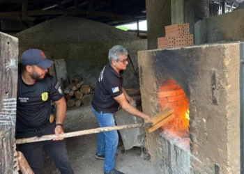 Incineração foi realizada de forma isolada, devido à grande quantidade de droga e ao seu valor elevado.jpeg - Foto: Divulgação SSP/TO file_download