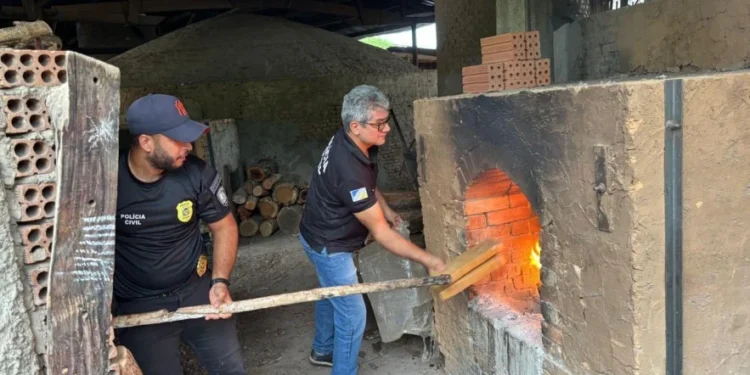 No Sul do Tocantins, Polícia Civil incinera cerca de 400 kg de maconha e gera prejuízo de R$ 1 milhão ao crime organizado