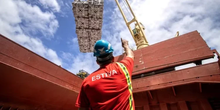 Possível greve de trabalhadores portuários coloca agronegócio em alerta