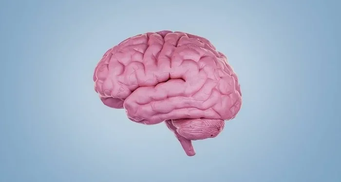 Depressão altera região do cérebro ligada à atenção, sugere estudo